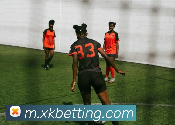 星空体育平台生态图