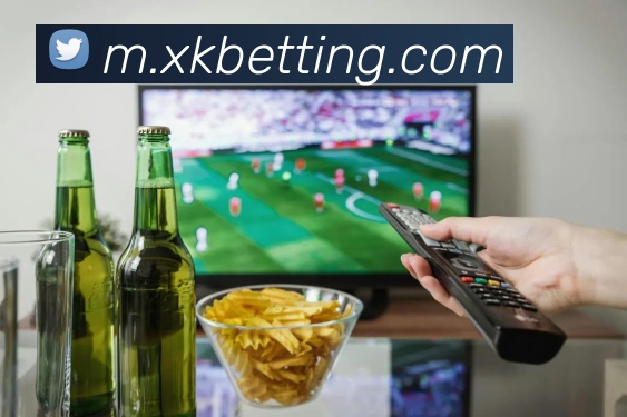 星空体育APP 封面图